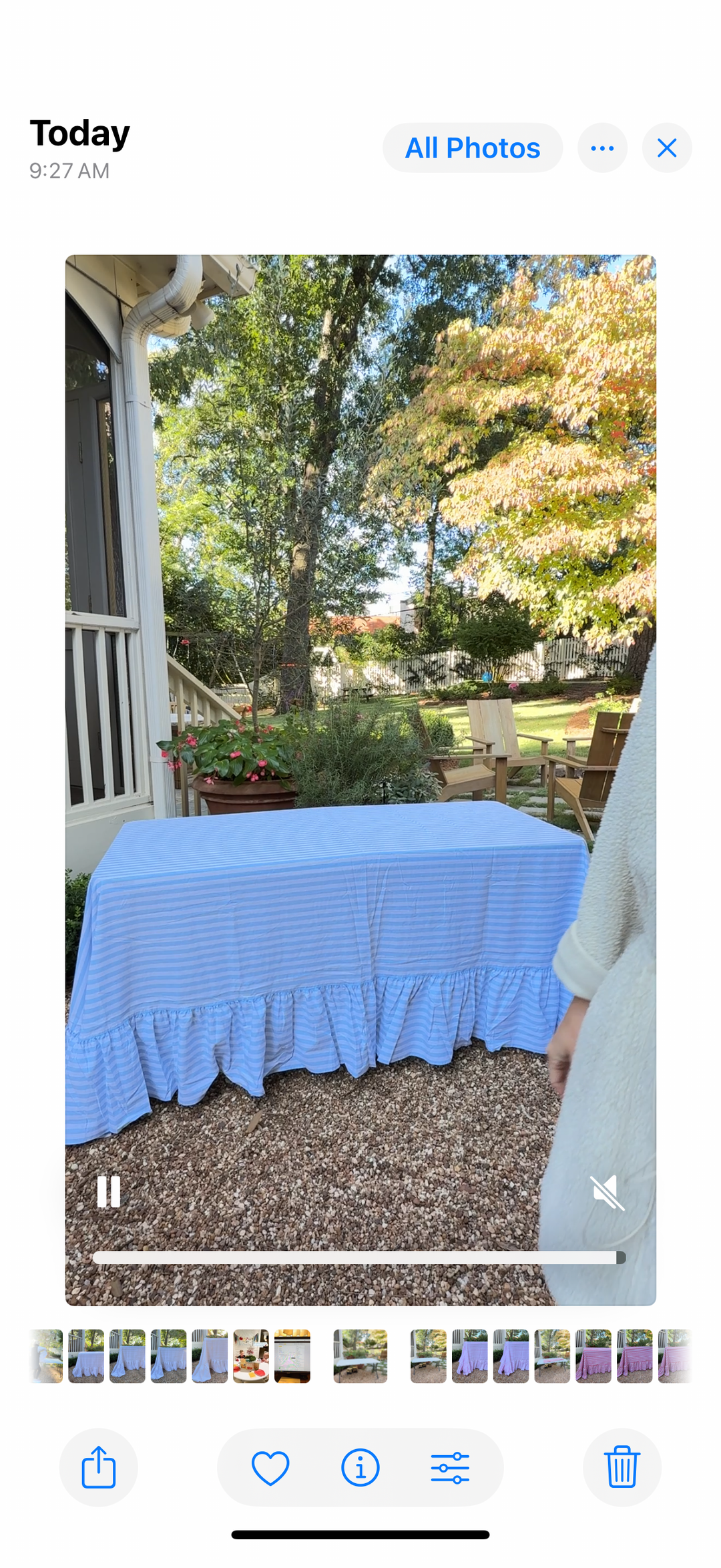 Blue Stripe Ruffle Tablecloth