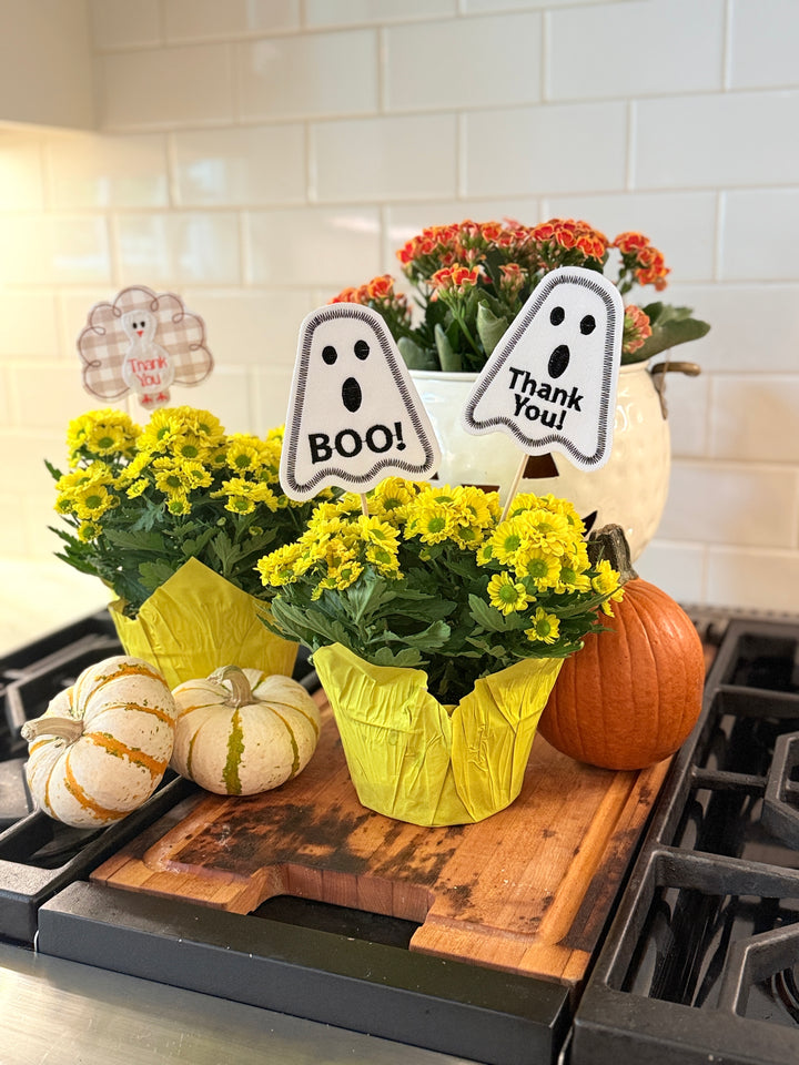 Thank you and Boo Ghost