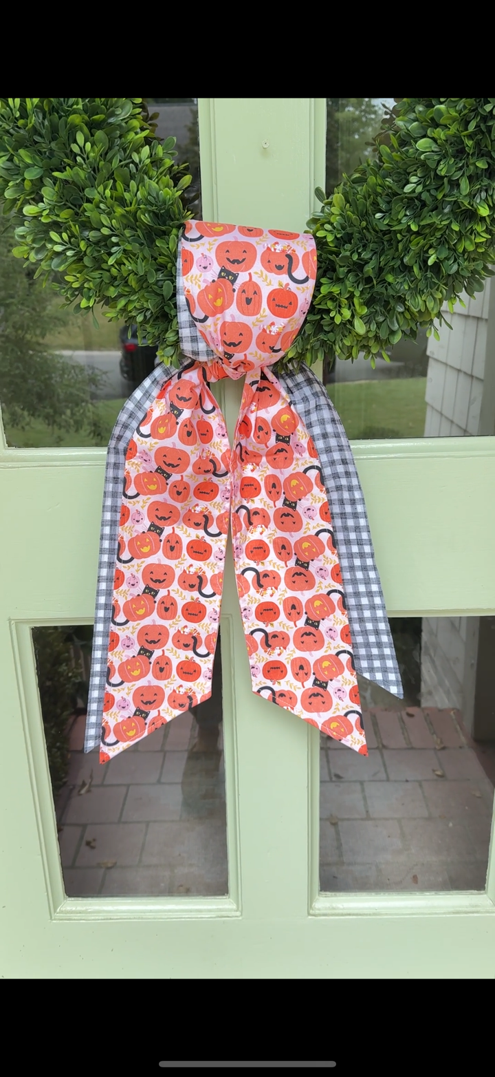 Pumpkin and Black Gingham Sash