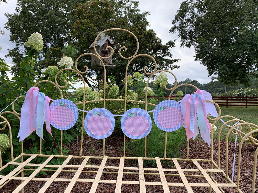 Pink Pumpkin with blue border Banner